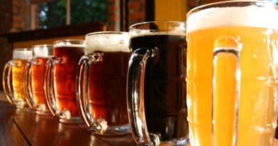 1º Festival de Cerveja Artesanal reunirá sete cervejarias em São Martinho